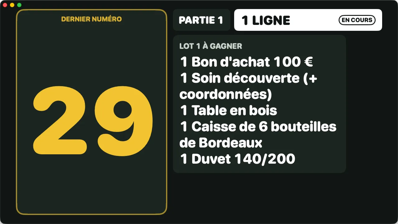 L’écran affiché pour la salle : dernier numéro 29 en très grand, « Partie 1 · 1 ligne en cours » et le détail du lot 1 à gagner.